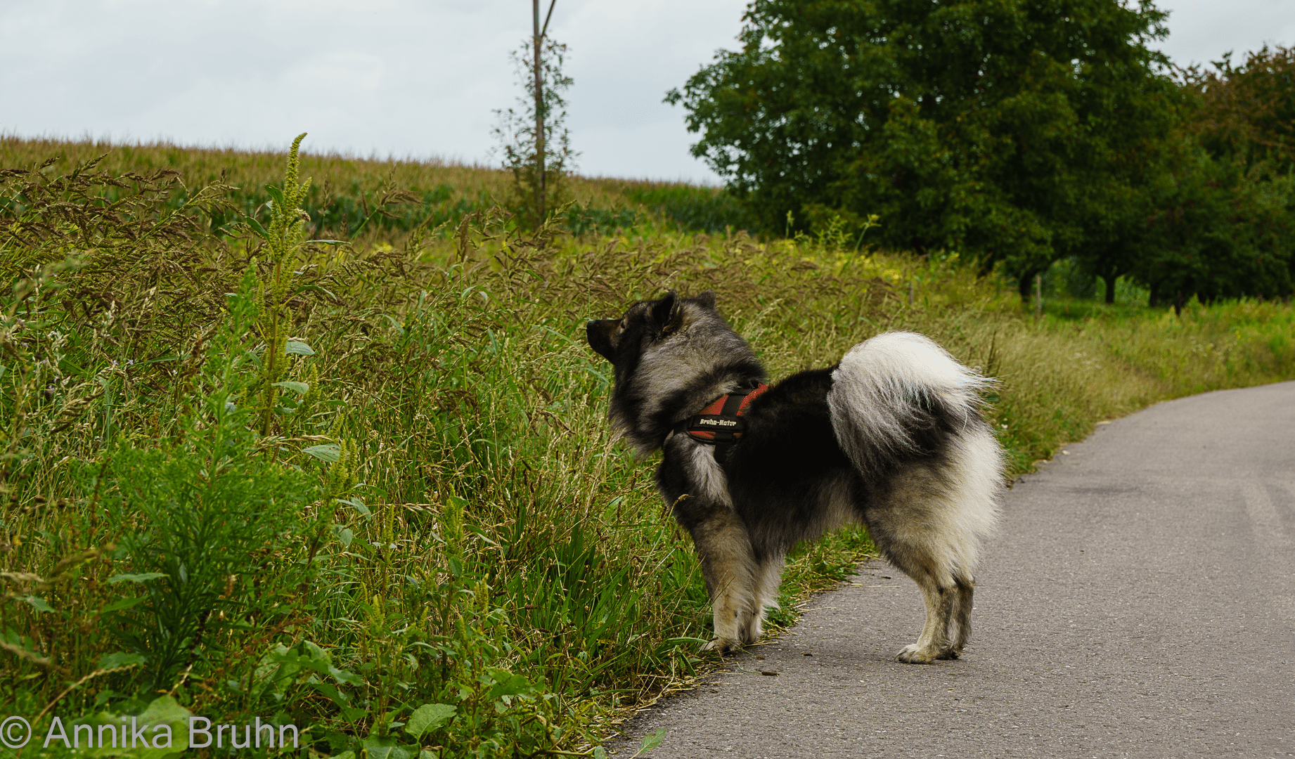 Schniff schniff , was richt den da so?
